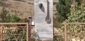 Ölürsem Babamın Yanına Götürün