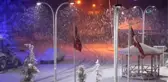 Tokat'ta Kar Yağışı Etkisini Arttırdı İlçe Beyaza Büründü