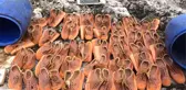 Lice'de Özel Birlik Operasyonu Başarıyla Tamamlandı