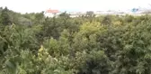 Tanesi 5 TL'ye Çıkan 