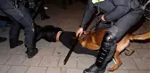 Hollanda'da Polis Köpeğinin Isırdığı Hüseyin Kurt Türkiye'de