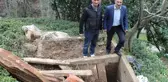 Kış Uykusundan Uyanan Ayılar Köylere Dadanıyor, Mezarlardan Ceset Çıkarıyor