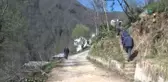 İkizdere'de Ayılar Mezarlara Dadandı