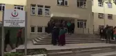 Bakan Kaya'dan, Hollanda Polisinin Köpekle Saldırdığı Kurt'a Ziyaret