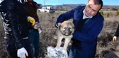 Rögardaki Havlama Seslerini Duyan Adam, Yavru Köpeğin Hayatını Kurtardı