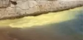 Marmaris'te Polen Tozu Denizi Sarıya Boyadı