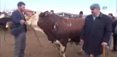 Ağrı'da Hayvan Piyasaları Hareketlendi