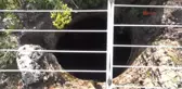 Antalya Anadolu'nun En Eski Zeytinyağı Üretim Vakfı