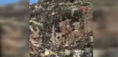 Denizli Itfaiyeden Keçi Kurtarma Operasyonu