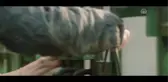 Sinema - Umut Bahçesi