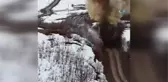 Bingöl'de Jandarmanın Dikkati Faciayı Önledi