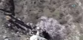 Pancar Toplamak İçin Hayatlarını Riske Atıyorlar