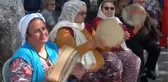 Fethiye'de Kuzugöbeği Mantarı Festivali