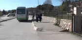 Nefes Açıcı Tüp
