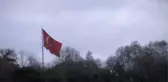 Halk Oylamasında 