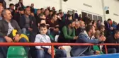 Nadide Güvercinler Bursa'da Sergilendi