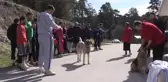 Güreşçi Olmasaydım Köyde Çobanlık Yapabilirdim