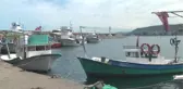 Karadenizli Balıkçılar Sezonu Buruk Kapatıyor