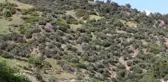 Kayalıklara Düşen Paraşütçü 3 Saatte Kurtarıldı