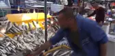 Manisa Balık Yasağının Başlaması Tezgaha Yansıdı