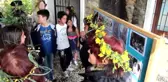 Halikarnas Balıkçısı