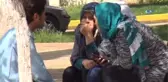 Kazada Kopan Atın Kafası, Sürücüyü Öldürdü