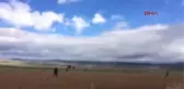 Eskişehir Polis, Hırsızlık Şüphelisini Tarlada Yakaladı