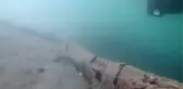 Fethiye'de Deniz Dibi Temizliği