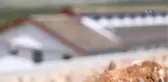Büyükşehir'den Doğal Yaşam Alanlı Barınak