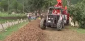 Fındık Patozuna Tse Standardı - Ordu