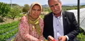 3 Çiftçi ile Başlayan Çilek Üretimi, Köprübaşı'nın Kaderini Değiştirdi