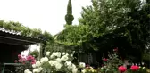 Botanik Bahçesi Gibi Cami