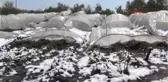 Inegöl'de Kar Yağışı Çilek Üretimine Zarar Verdi