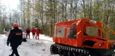 Kaldirik Otu Toplamaya Giden Yaşlı Kadın Ormanda Kayboldu
