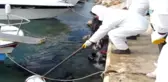 Tonlarca Yakıt Sızmıştı, Korkutan Bilirkişi Raporu Açıklandı