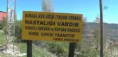Doğantepe'de Kuş Gribi İncelemesi Başlatıldı