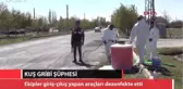 Niğde'de Kuş Gribi Şüphesi