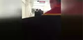 Duruşma Salonundan Böyle Çıkarıldı, Şikayetçiyim Dedi