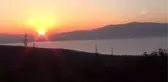 Kırmızı Karıncaların 