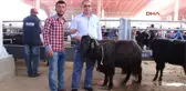 Burdur'da En Güzel Keçi ve Koç Yarışması Yapıldı