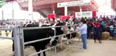 Teke Yöresi 3. Tarım ve Hayvancılık Fuarı