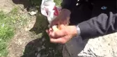 Sivas'ın Kuşçu Babası