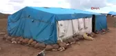 Şanlıurfa Göçerlerin Hayvanlarıyla Zorlu Yolculuğu Başladı