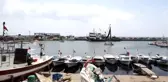 Balıkçıların 