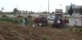 Başak Toplamak İçin Traktörlerle Patates Tarlasına Akın Ettiler