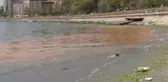 Marmara Denizi'ndeki Turuncu Renk Etkisini Sürdürüyor