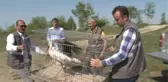 Tedavisi Biten Kuşlar Özgürlüğüne Kavuştu