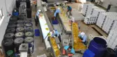 Sındırgı'nın 'Ev Tipi Turşu'su Dünya Sofralarına Girdi
