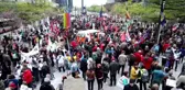 Hükümet Karşıtı Protesto - Brüksel