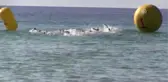 Didim Triatlon'u Yapıldı